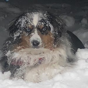 Meet your Posher, Kyle